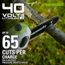 Greenworks 40V 8" Polesaw + Pole Hedge 2.0Ah Battery Gen 1 PSPH40B210 - GREEN Like New