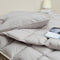 BEVINK FEATHER DOWN COMFORTER TWIN SIZE, ALL SEASONS DUVET INSERT LIGHT GREY - Brand New