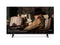 VIZIO 75-inch M-Series 4K 120Hz QLED HDR10+ Smart TV with AMD FreeSync, Dolby