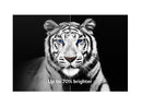 LG OLED evo G3 83 inch 4K Smart TV (OLED83G3PUA, 2023)