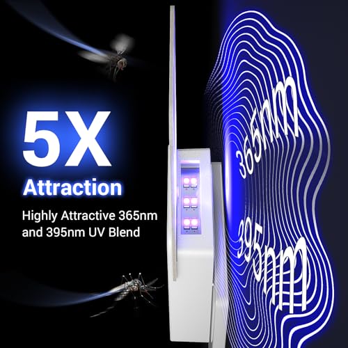 ECHET FRUIT FLY TRAPS FOR INDOORS 1 TRAP+6 GLUE CARDS ZN-01 - WHITE - Like New