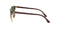 RAY BAN CLUBMASTER NON POLARISED - TORTOISE ON GOLD & G-15 GREEN - SIZE 51 - Like New