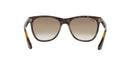 RAY BAN SUNGLASSES HAVANA BROWN GRADIENT BROWN HIGHLIGHTS - SIZE 54MM - Like New