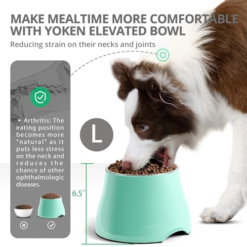 Fluffydream Elevated Dog Bowls Prevention Vertebrae Disease Super Non-Slip - Like New