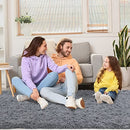 HOMBYS Soft Area Rug for Living Room 8x10 Feet Fluffy 2.4" Plush - Light Grey - Brand New