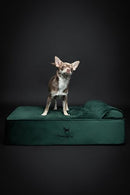 NOAH & PAW DOG BED 28X23X11 IN ORTHOPEDIC BEDS EGGSHELL FOAM INFUSED - GREEN - Like New