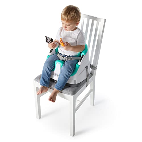 Baby Einstein DINE & DISCOVER MULTI-USE BOOSTER SEAT - White/Turquoise - Like New