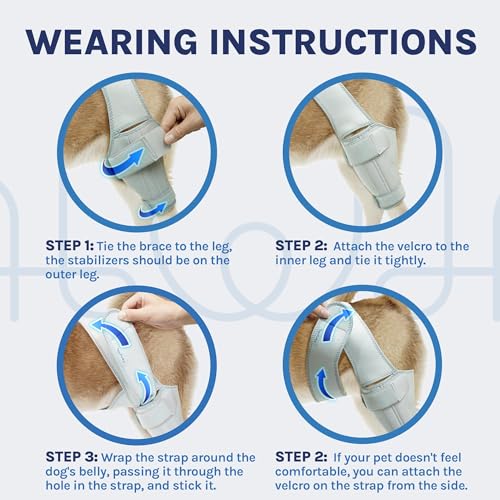 MERRYMILO DOG KNEE BRACE,ACL,CCL,CRUCIATE LIGAMENT, SIZE: S - SILVER - Like New