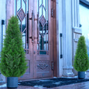 VIVATREES 3FT CEDAR TOPIARY FAUX PINE SHRUBS ARTIFICIAL CEDAR TREE, SET OF 2 - Brand New