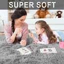 RUGTUDER 5x7 Area Rugs Plush Shag Rug Living Room Soft Fuzzy Rugs - Light Grey - Like New