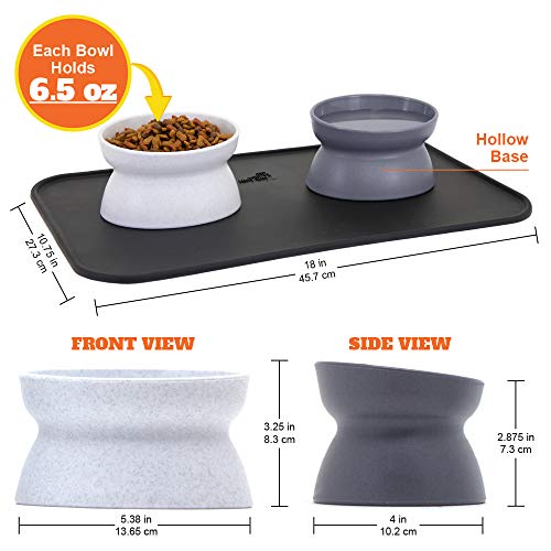 Kitty City Raised Cat Bowl Collection/Stress Free Pet Feeder/Waterer - Gray - Brand New