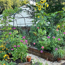 FOLLOOK GARDEN ARCH TRELLIS CLIMBING NON-WOVEN FABRIC 7.8FT TALL PE-COATED BLACK - Like New