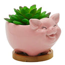 CUTEFORYOU ANIMAL PIG SHAPED CERAMIC CACTUS FLOWER PLANTERS WITH BAMBOO TRAY- Like New