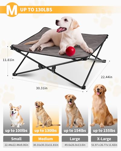 KINGCAMP ELEVATED DOG BED, MEDIUM DOGS, RAISED GROUND MESH, WASHABLE, BLACK - Like New