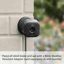 BLINK MINI 2 HOME SECURITY PET CAMERA HD VIDEO NIGHT VIEW MOTION 1 CAMERA BLACK - Like New