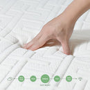 HOXURY MATTRESS 10" GREEN TEA MEMORY FOAM MEDIUM FIRM FULL SIZE HS-HMZC10FU - Brand New