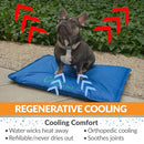 K&H Pet Products Cool Bed III Dog Cooling Mat, Large 44 X 32in, Chill Blue - Like New