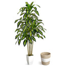 LuceAlberi 5FT Faux Dracaena Plant with Planter & Built-in Basket - Green White - Brand New