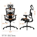 WELLNEWLIFE Prestige Ergonomic Office Chair Adjustable Lumbar Support - Black - Like New