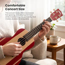 Kala Surf Series Ukulele - Surf's Up - B085ZF35Y8 - Brand New