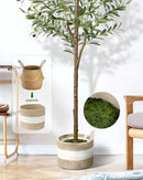 LuceAlberi 6FT Artificial Olive Tree Indoor Tall Faux with Planter&Basket - Like New
