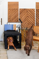 NOAH & PAW COLLAPSIBLE DOG CRATE 36 INCHES, XL DOG CRATE 36*25*23 - BLACK - Like New