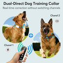 DELUPET DOG SHOCK COLLAR 2 DOGS- 4500FT DUAL-DIRECT DOG TRAINING COLLARS - GRAY - Like New