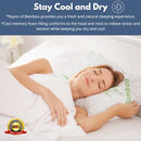DreamField Linen Memory Foam Bamboo Pillow Queen Size -White/Green - Like New