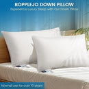 BOPPLEJO WHITE - BOPPLEJO GOOSE DOWN PILLOW STANDARD SIZE - WHITE - Like New