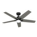 HUNTER FAN COMPANY HUNTER RAPIDAN LED 52"" CEILING FAN 5 BLADE - MATTE BLACK - Like New