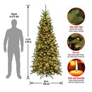NATIONAL TREE COMPANY PRE-LIT ARTIFICIAL SLIM CHRISTMAS TREE 7.5FT - GREEN - Like New