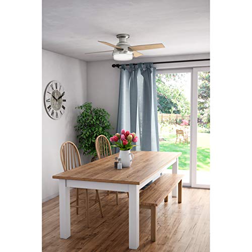 Hunter Fan Company 50282 Hunter Dempsey Indoor Low Profile Ceiling Fan - Like New