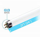 Circle (6 Pack F17T8/841 17W 24" T8 Fluorescent Tube Light Bulb G13) - Brand New