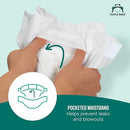 Mama Bear Gentle Touch Baby Diapers Size 1 200 Count 4 packs of 50 - Brand New