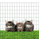 16GA PVC Green 48"x50' Welded Wire Mesh Garden Economy Fence - New - Brand New