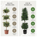 NATIONAL TREE COMPANY 4 FT ARTIFICIAL BOXWOOD CONE AND BALL TOPIARY TREE GREEN - Like New