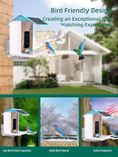 YBLOC Smart Bird Feeder Camera AI Recognition 2.4G WiFi Bird - Scratch & Dent
