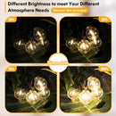 BRIGHTEVER 50FT OUTDOOR STRING LIGHTS WATERPROOF GYPC-O25LAU - BLACK - Like New