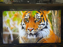 SAMSUNG QN55QN90FAFXZA 55 INCH NEO QLED 4K QN90F VISION AI SMART TV 2025 - BLACK - Like New