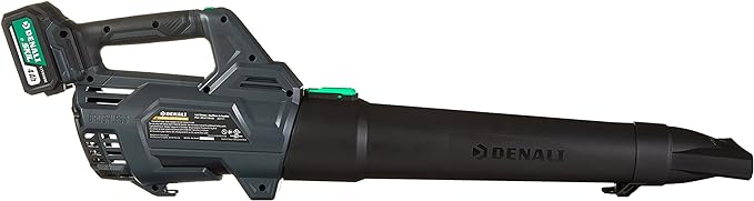 Denali SKIL 20V Brushless 400 CFM Leaf Blower 4.0Ah Battery ABL4714B-10 - Blue Like New