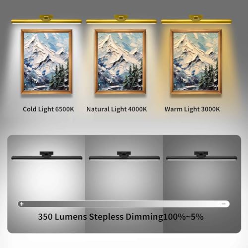 MQOUO 24.4" WIRELESS PICTURE LIGHTS DIMMABLE/TIMER OFF CDTY620-YK-5V - BLACK - Like New