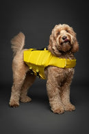 NOAH PAW DOG LIFE JACKET HUMAN STANDARDS LIFEJACKET DESIGN DOG SIZE XL - YELLOW - Like New