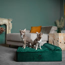 NOAH & PAW DOG BED 28X23X11 IN ORTHOPEDIC BEDS EGGSHELL FOAM INFUSED - GREEN - Like New