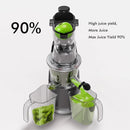 SIFENE Cold Press Juicer Machine, Masticating, 83mm Opening AMR8824 - DARK GRAY Like New