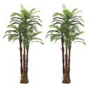 AMERIQUE Double Gorgeous 6 Feet Tropical Palm Artificial Tree - AMS0354 - Green - Like New