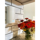 ARRIS SURFBOARD MAX W122 MESH WIFI 6 SYSTEM AX6600 - WHITE - Like New