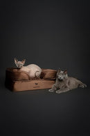 NOAH & PAW Small Dog Bed, 20x15x8 Inch, Cat Bed, Orthopedic Eggshell Memory Foam - Brand New