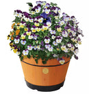 VEGTRUG MEDIUM BARREL GARDEN PLANTER - PEACH - Like New