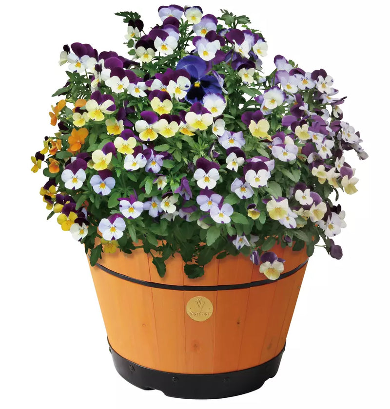 VEGTRUG MEDIUM BARREL GARDEN PLANTER - PEACH - Like New