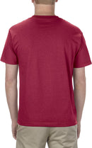 AL1301 American Apparel Adult 6.0 oz., 100% Cotton T-Shirt New